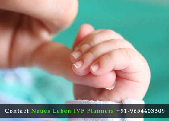 Best-IVF-Centre