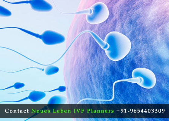 Male-Infertility