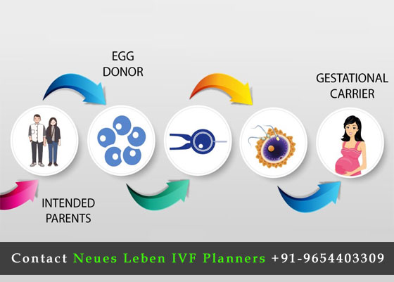 Surrogacy-Process